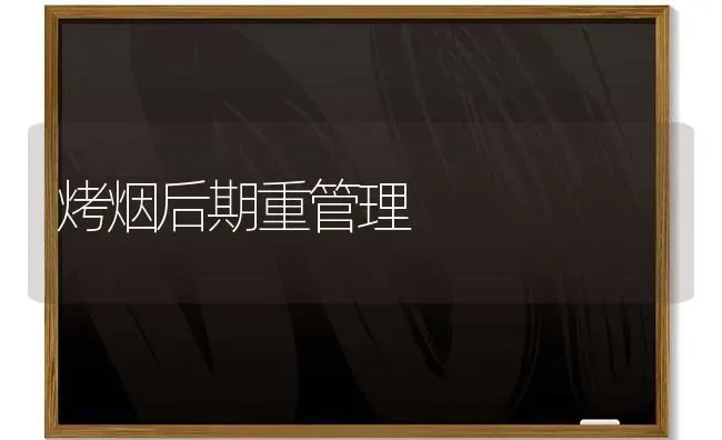烤烟后期重管理 | 养殖知识
