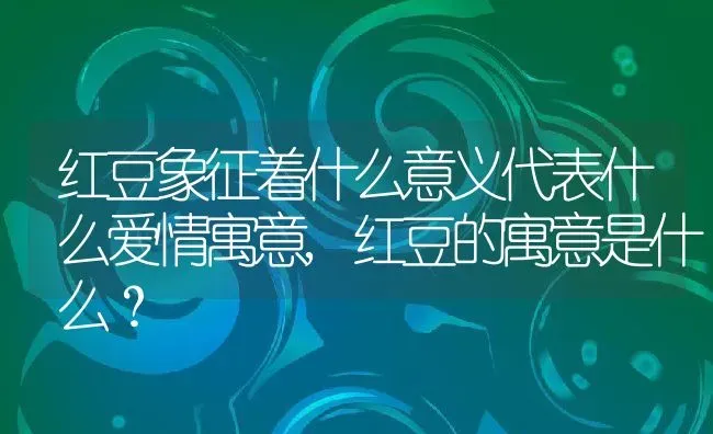 红豆象征着什么意义代表什么爱情寓意,红豆的寓意是什么？ | 养殖科普