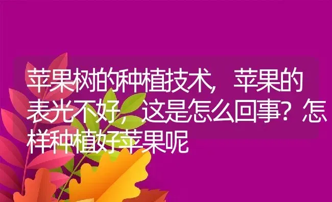 苹果树的种植技术,苹果的表光不好，这是怎么回事？怎样种植好苹果呢 | 养殖学堂