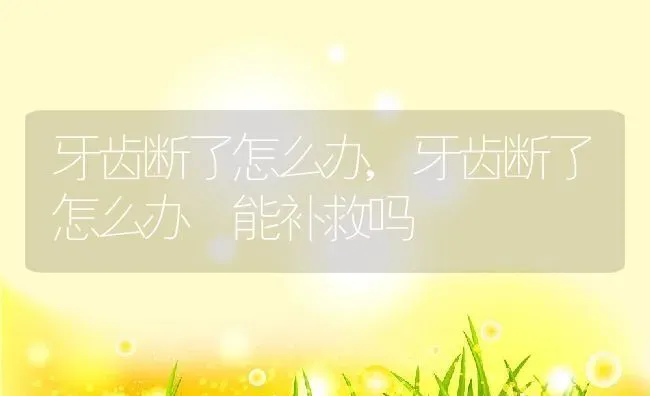 牙齿断了怎么办,牙齿断了怎么办 能补救吗 | 养殖科普