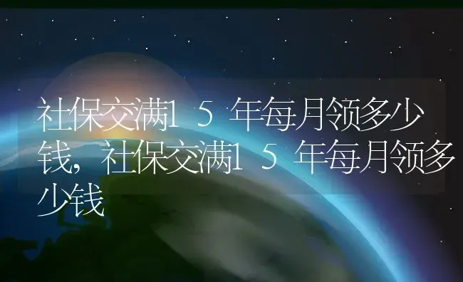 社保交满15年每月领多少钱,社保交满15年每月领多少钱 | 养殖科普