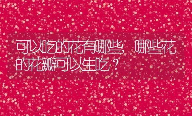 可以吃的花有哪些,哪些花的花瓣可以生吃？ | 养殖科普