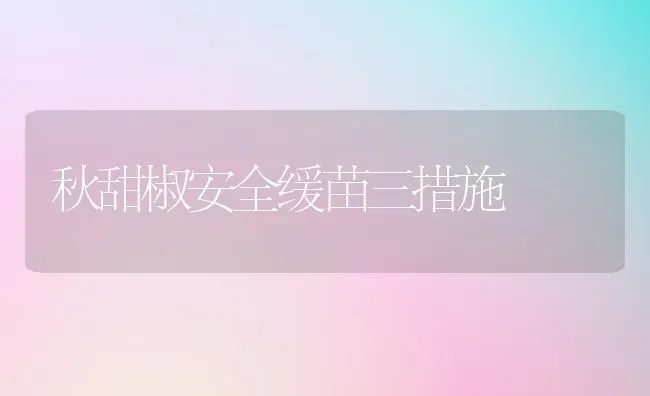 秋甜椒安全缓苗三措施 | 养殖知识