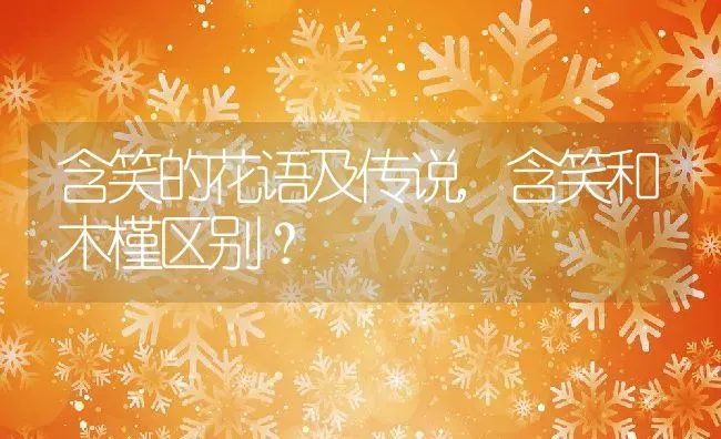 含笑的花语及传说,含笑和木槿区别？ | 养殖科普