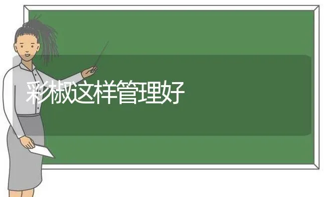 彩椒这样管理好 | 养殖知识
