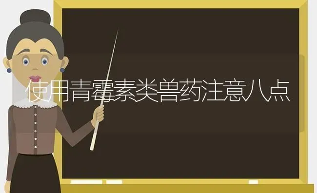 使用青霉素类兽药注意八点 | 养殖知识