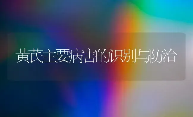 黄芪主要病害的识别与防治 | 养殖技术大全