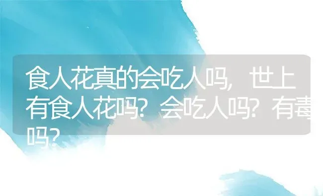 食人花真的会吃人吗,世上有食人花吗?会吃人吗?有毒吗？ | 养殖科普