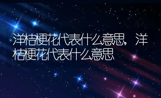 洋桔梗花代表什么意思,洋桔梗花代表什么意思 | 养殖科普