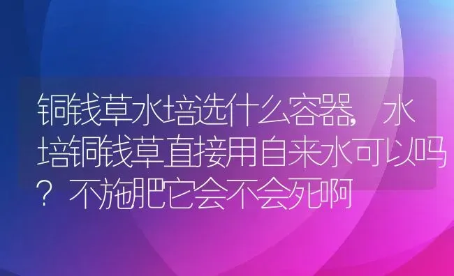 铜钱草水培选什么容器,水培铜钱草直接用自来水可以吗？不施肥它会不会死啊 | 养殖学堂