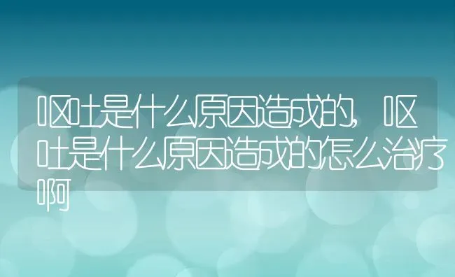 呕吐是什么原因造成的,呕吐是什么原因造成的怎么治疗啊 | 养殖资料