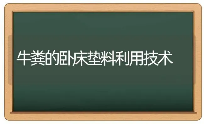 牛粪的卧床垫料利用技术 | 养殖技术大全