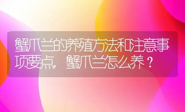 蟹爪兰的养殖方法和注意事项要点,蟹爪兰怎么养？ | 养殖科普