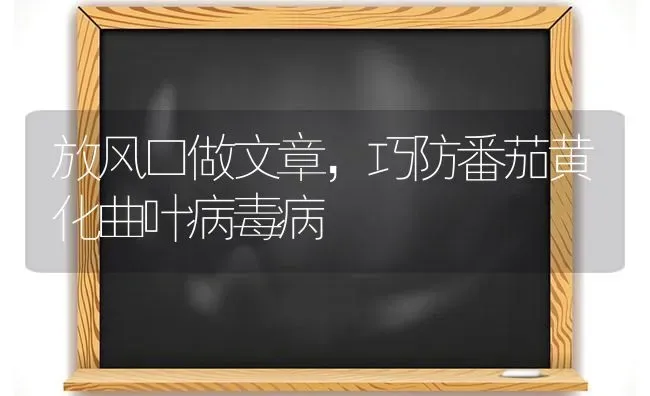 放风口做文章,巧防番茄黄化曲叶病毒病 | 养殖知识