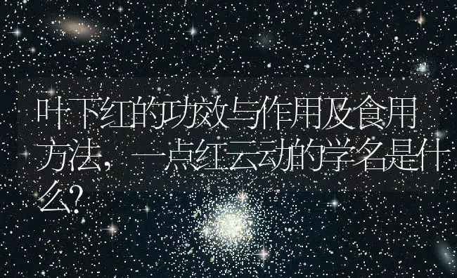 洋葱叶子可以割着吃吗,紫色洋葱叶内外表皮的区别？ | 养殖科普