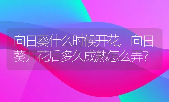 向日葵什么时候开花,向日葵开花后多久成熟怎么弄？ | 养殖科普