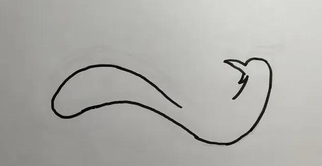 凤凰怎么画简单又漂亮,怎样画凤凰的简笔画？