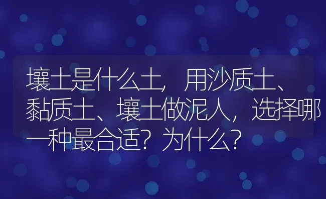 壤土是什么土,用沙质土、黏质土、壤土做泥人，选择哪一种最合适？为什么？ | 养殖科普