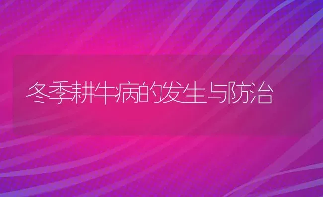 冬季耕牛病的发生与防治 | 养殖技术大全