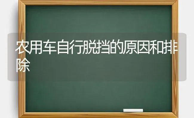 农用车自行脱挡的原因和排除 | 养殖知识