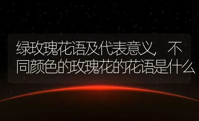 绿玫瑰花语及代表意义,不同颜色的玫瑰花的花语是什么 | 养殖学堂