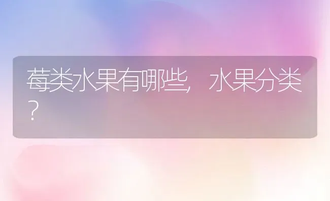 莓类水果有哪些,水果分类？ | 养殖科普