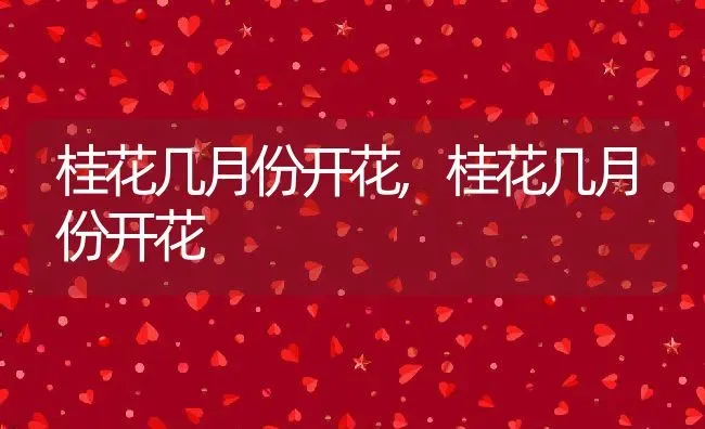 桂花几月份开花,桂花几月份开花 | 养殖科普