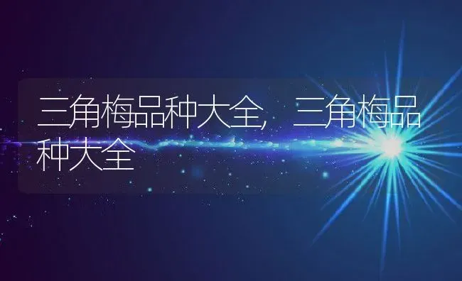 三角梅品种大全,三角梅品种大全 | 养殖科普