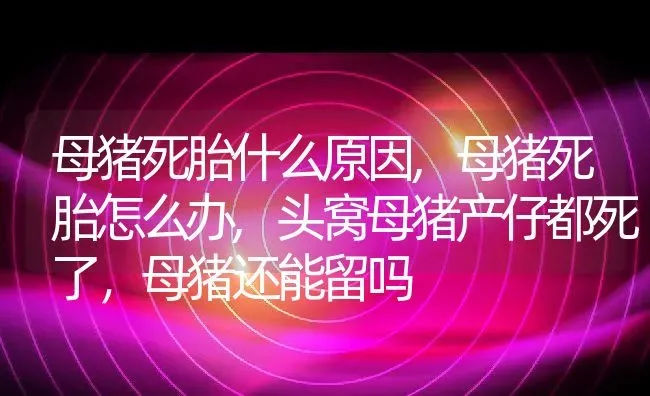 母猪死胎什么原因,母猪死胎怎么办,头窝母猪产仔都死了，母猪还能留吗 | 养殖学堂