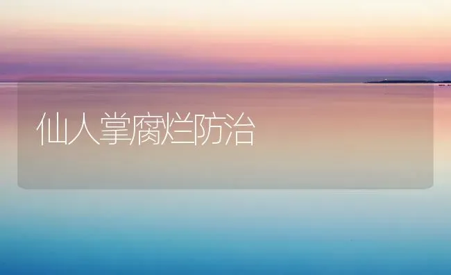 仙人掌腐烂防治 | 养殖技术大全