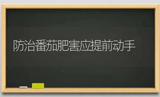 防治番茄肥害应提前动手 | 养殖知识