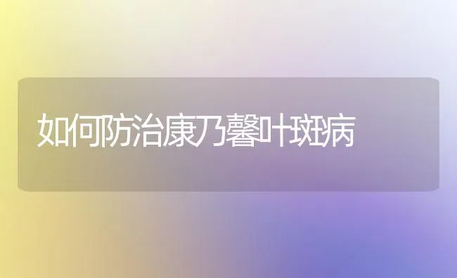 如何防治康乃馨叶斑病 | 养殖知识