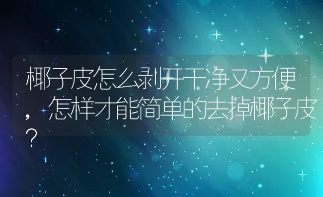 椰子皮怎么剥开干净又方便,怎样才能简单的去掉椰子皮？ | 养殖科普