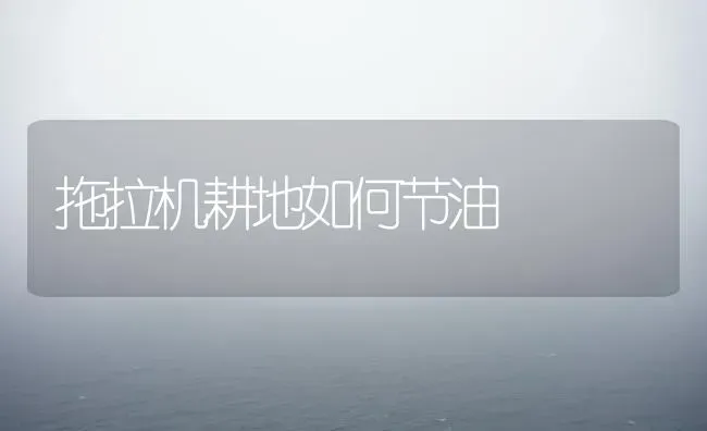 拖拉机耕地如何节油 | 养殖技术大全