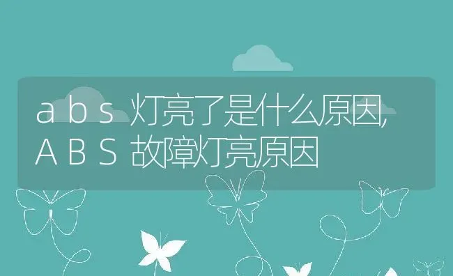 abs灯亮了是什么原因,ABS故障灯亮原因 | 养殖学堂