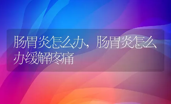 肠胃炎怎么办,肠胃炎怎么办缓解疼痛 | 养殖科普