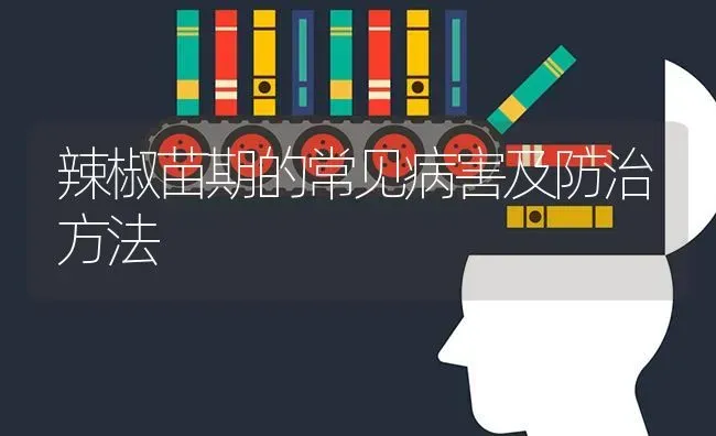 辣椒苗期的常见病害及防治方法 | 养殖技术大全