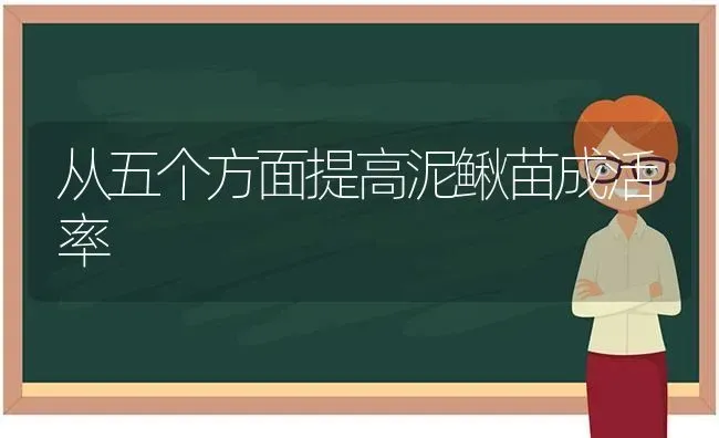 从五个方面提高泥鳅苗成活率 | 养殖技术大全