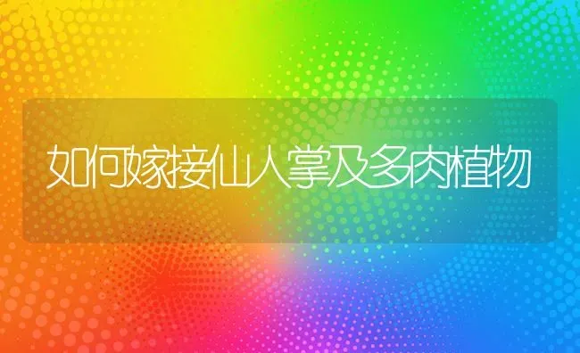 如何嫁接仙人掌及多肉植物 | 养殖技术大全