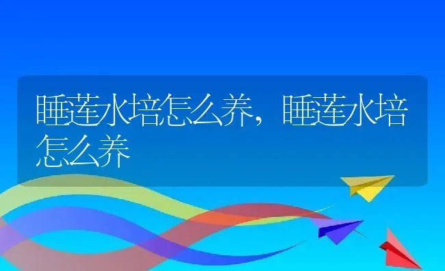 睡莲水培怎么养,睡莲水培怎么养 | 养殖科普