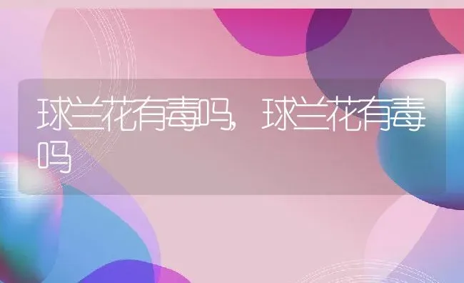 球兰花有毒吗,球兰花有毒吗 | 养殖科普