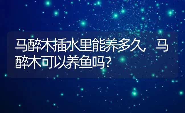 马醉木插水里能养多久,马醉木可以养鱼吗？ | 养殖科普