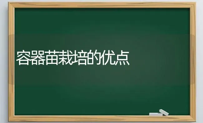 容器苗栽培的优点 | 养殖知识