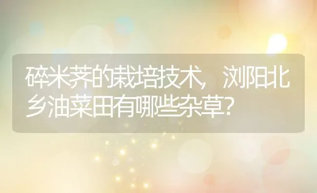 碎米荠的栽培技术,浏阳北乡油菜田有哪些杂草？ | 养殖科普