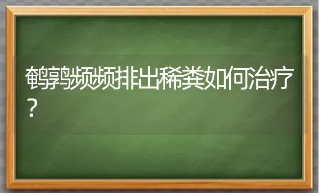 鹌鹑频频排出稀粪如何治疗? | 养殖技术大全