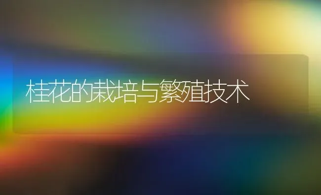 桂花的栽培与繁殖技术 | 养殖技术大全