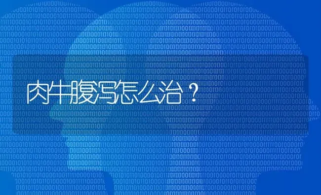 肉牛腹泻怎么治? | 养殖技术大全