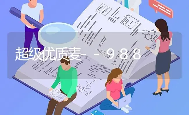 超级优质麦--988 | 养殖技术大全