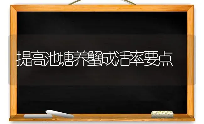 提高池塘养蟹成活率要点 | 养殖技术大全