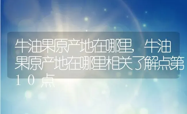 牛油果原产地在哪里,牛油果原产地在哪里相关了解点第10点 | 养殖学堂